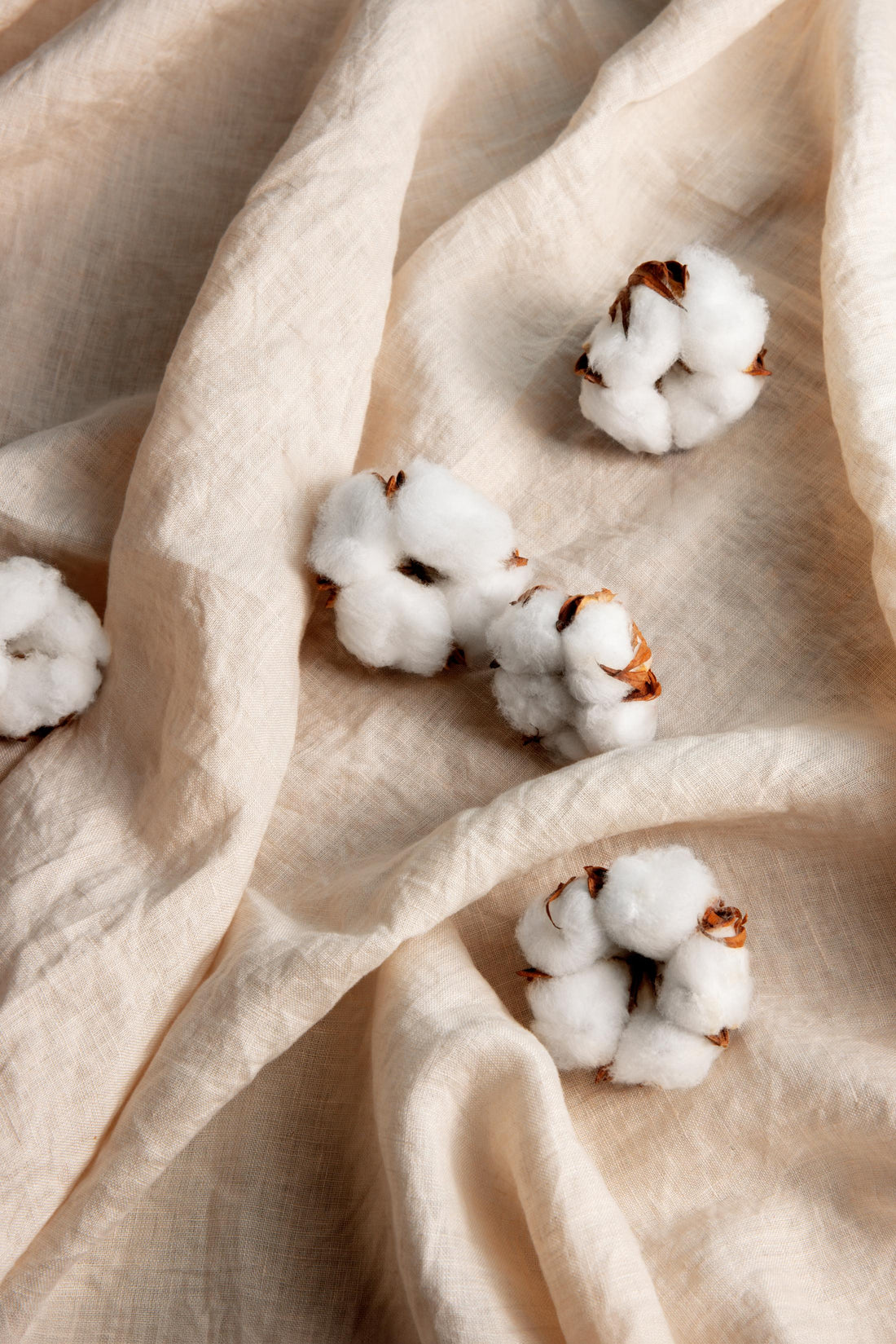 Why We Choose Organic Cotton for Your Baby's Comfort